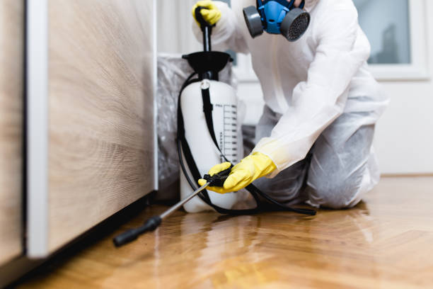 Best Local Pest Control Services  in Newport, VT