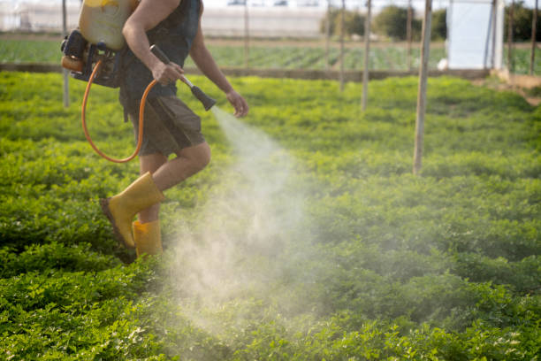 Reliable Newport, VT Pest Control Solutions
