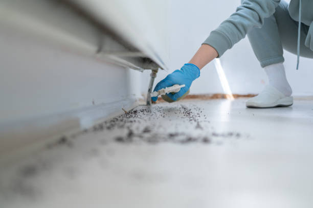 Best Pest Prevention Services  in Newport, VT